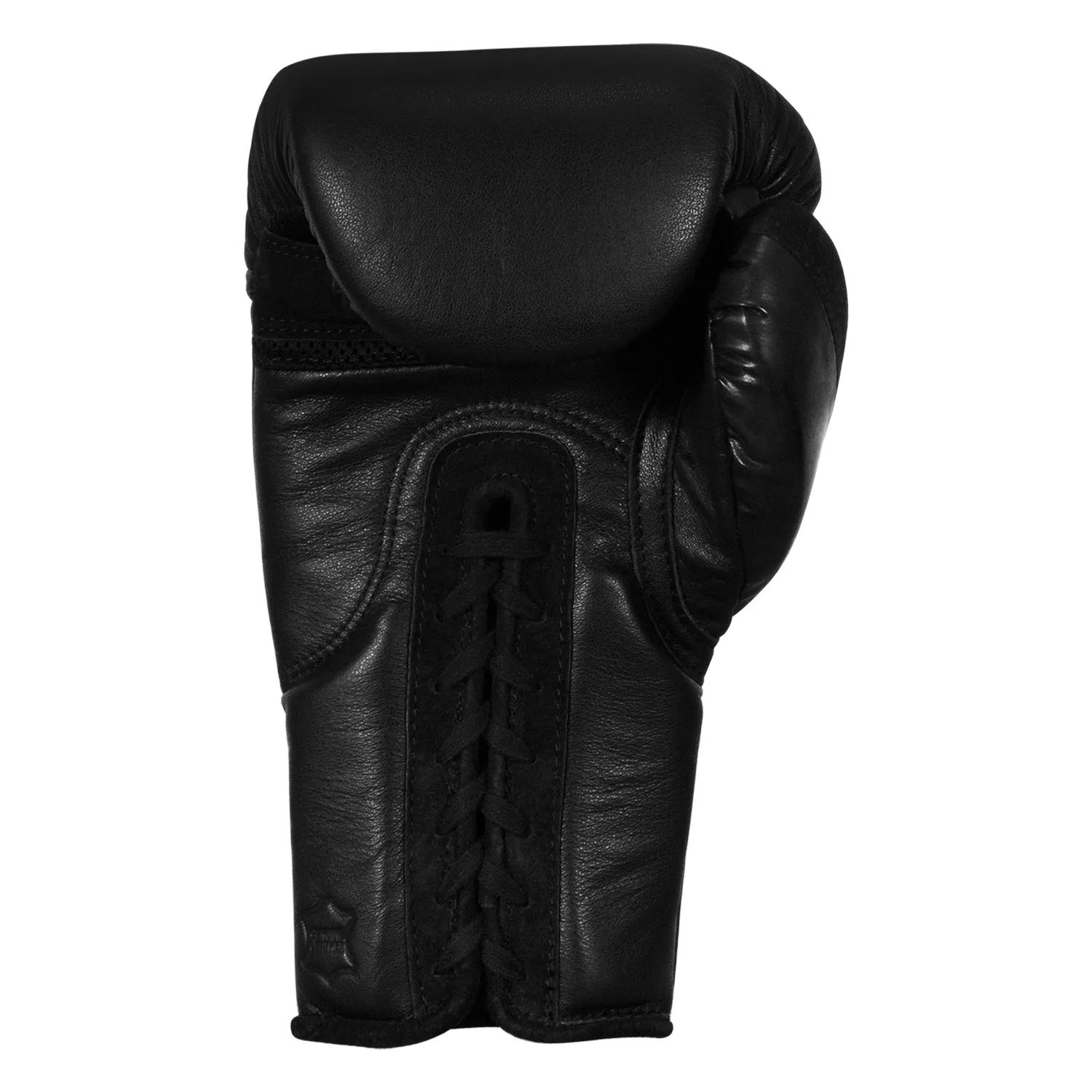 TITLE Black Lace Sparring Gloves 2.0