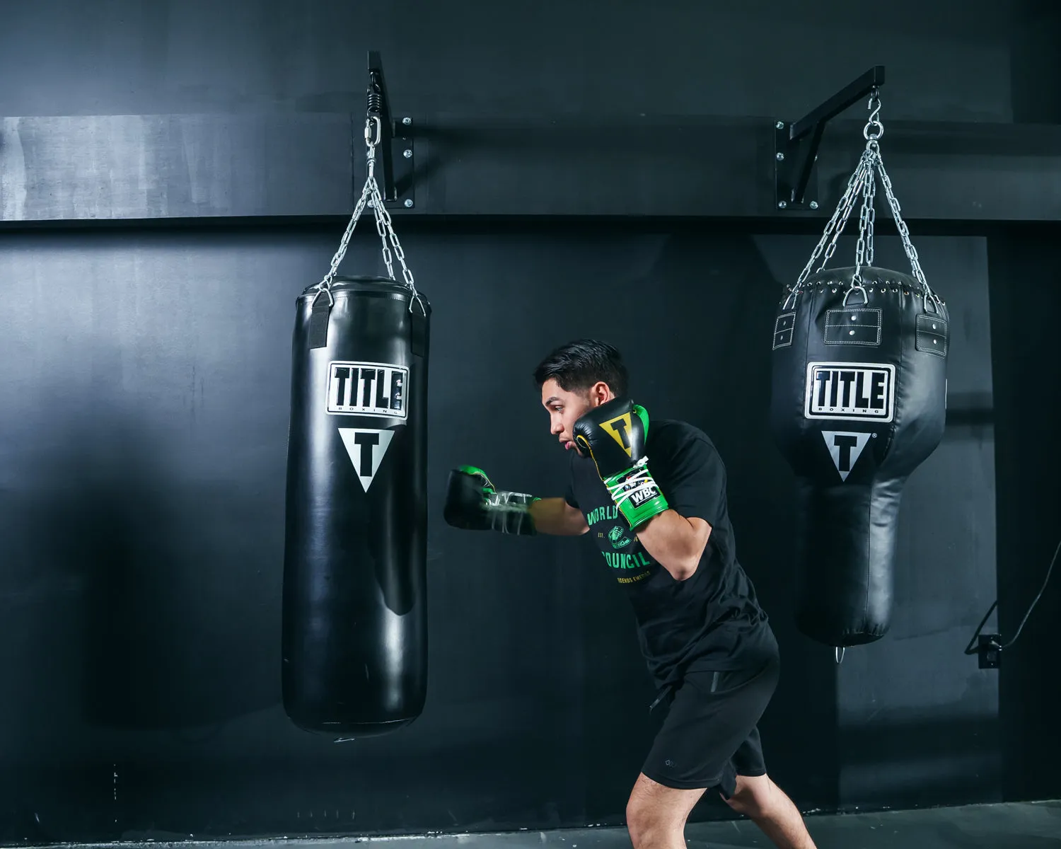 WBC by TITLE Boxing Sparring Gloves