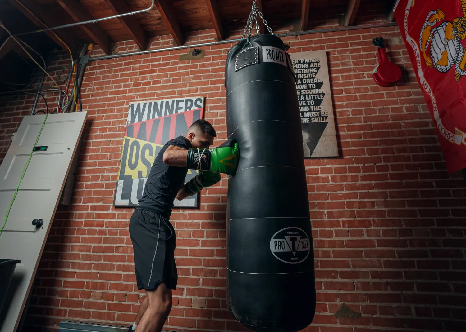 WBC by TITLE Boxing Sparring Gloves