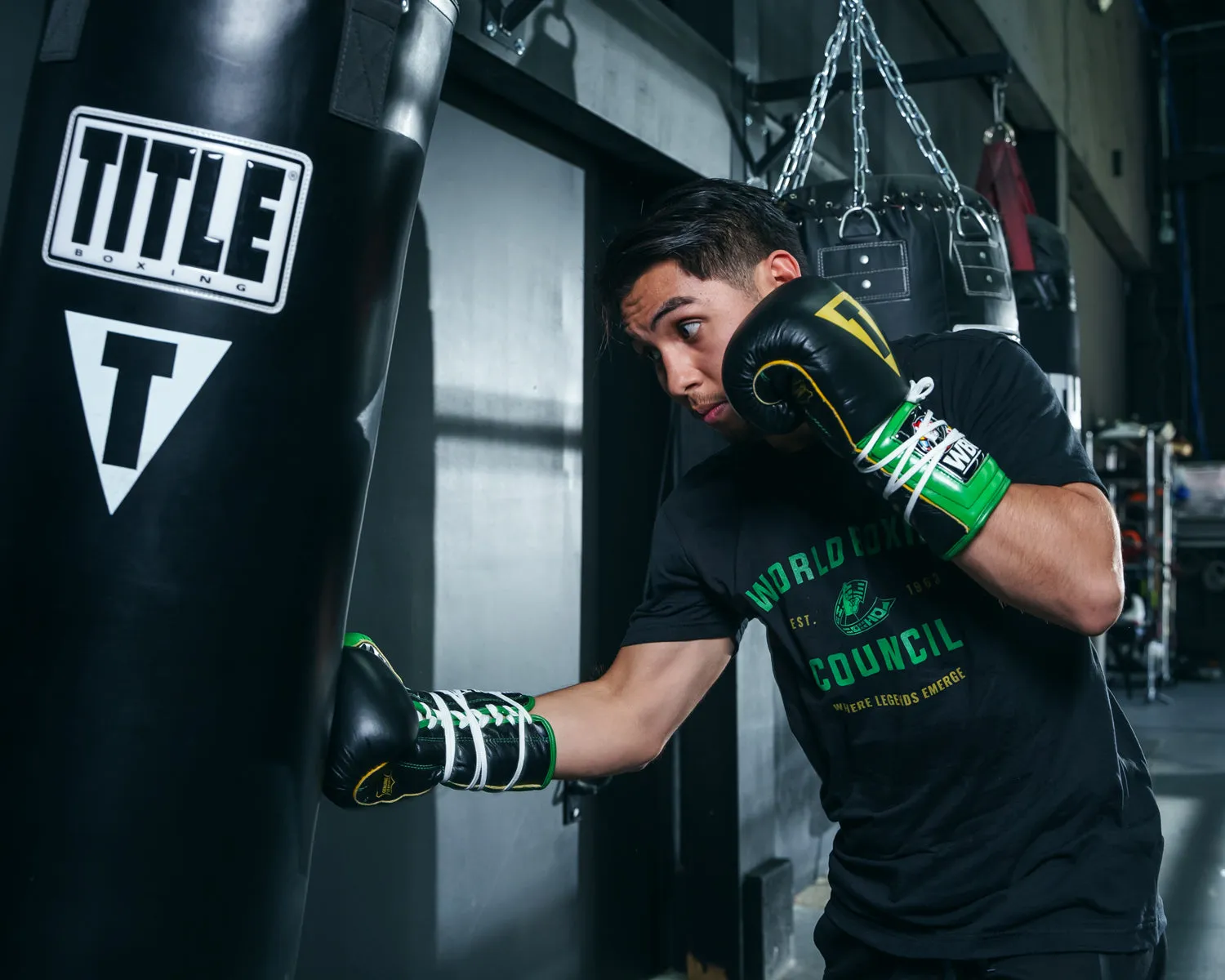 WBC by TITLE Boxing Sparring Gloves